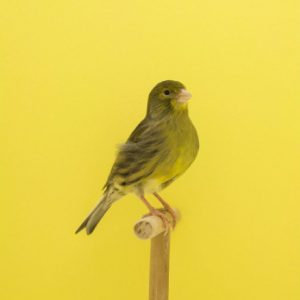 homepage-image-04 homepage-image-04